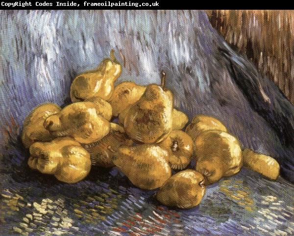 Vincent Van Gogh Still Life with Quinces